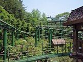 Herky and Timmy's Racing Coaster, 2010.