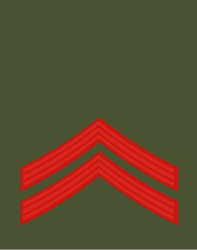 File:02-Montenegro Army-CPL.svg