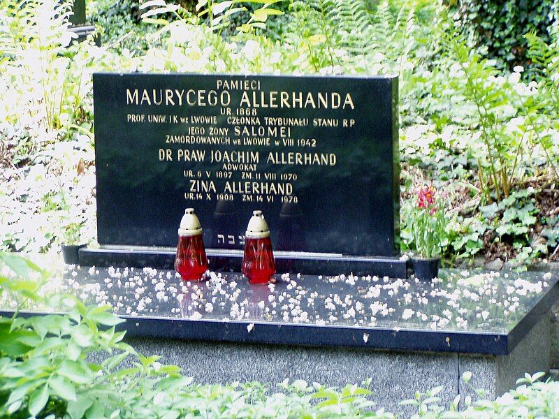 File:AllerhandFamilyGrave.JPG