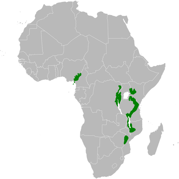 File:Arizelocichla distribution map.png