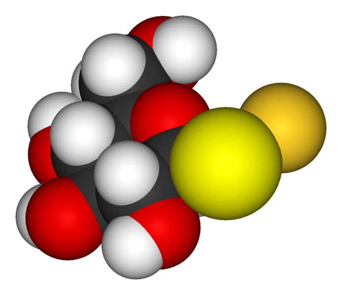 File:Aurothioglucose-3D-vdW.png