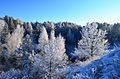 Image 8Winter in the countryside of Lithuania