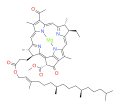 bacteriochlorophyll a