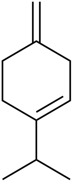 File:Beta terpinene.png