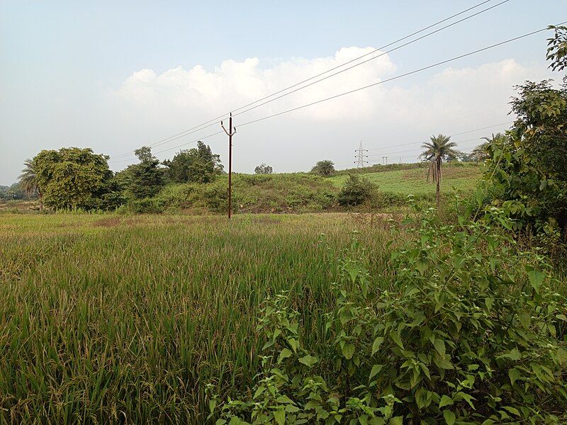 File:Dumka rural area.jpg