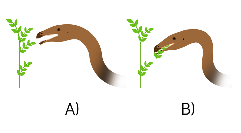 File:Erlikosaurus feeding.png