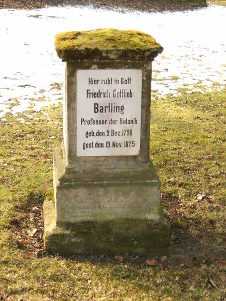 File:Göttingen-Grave.of.Friedrich.Gottlieb.Bartling.01.jpg