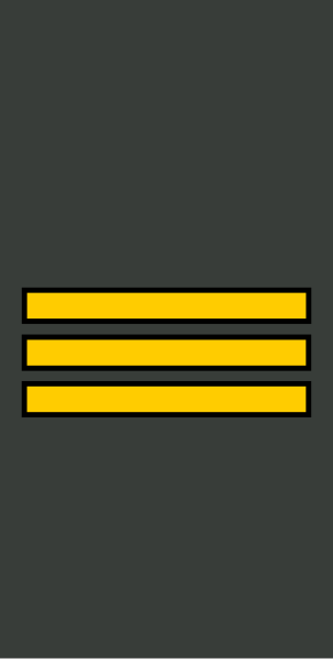 File:Georgia-Army-OR-3.svg