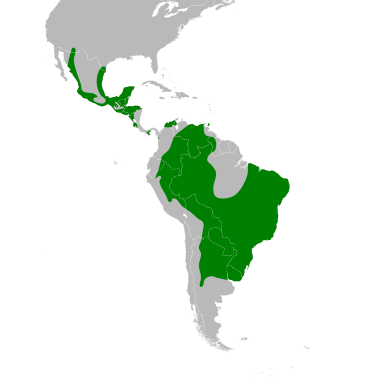 File:Glaucidium brasilianum map.svg