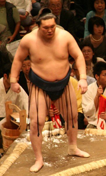 File:Hakuho May07.jpg