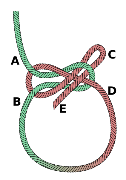 File:Lapp knot loop.png