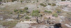 Mono Mills ruins