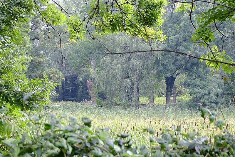 File:Obersiebenbrunn Schloßpark 2.jpg