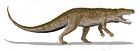 Ornithosuchus longidens