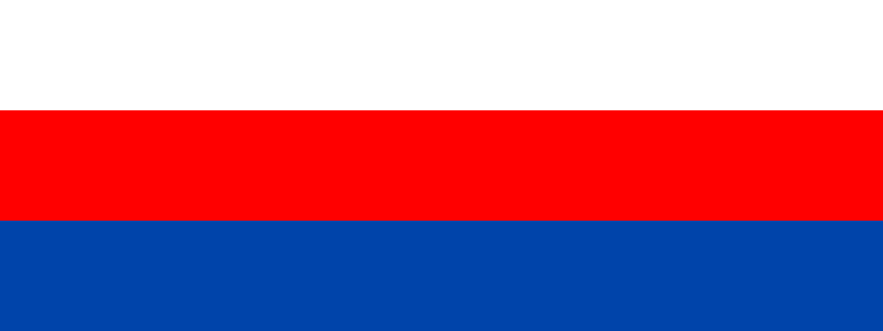 File:POL Brzesko flag.svg