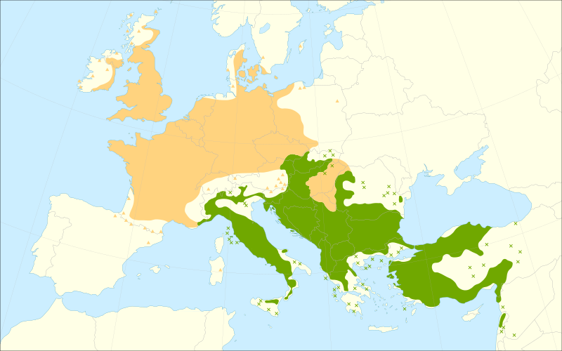 File:Quercus cerris range.svg