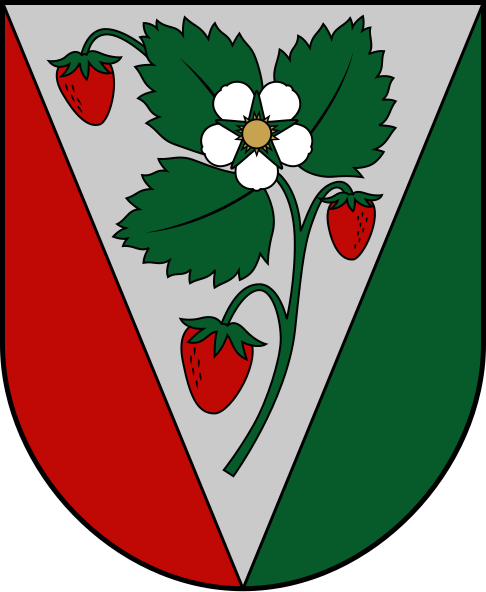 File:Salas novads COA.svg