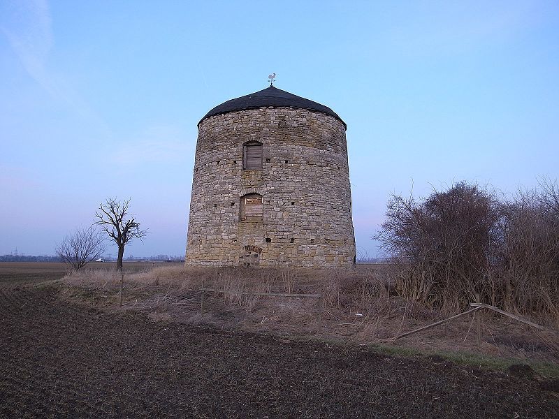 File:Schafstädt, Windmühle.jpg