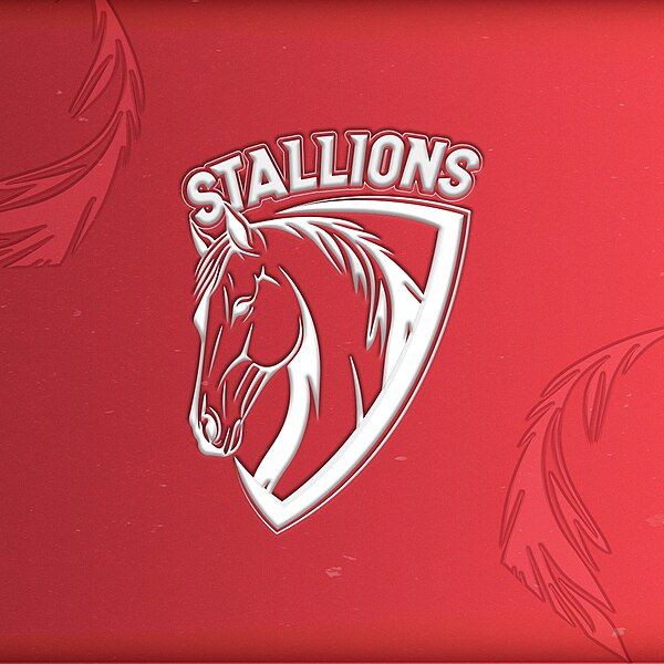 File:Stallions cricket.jpg