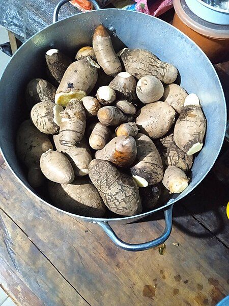 File:Three leaf yam.jpg