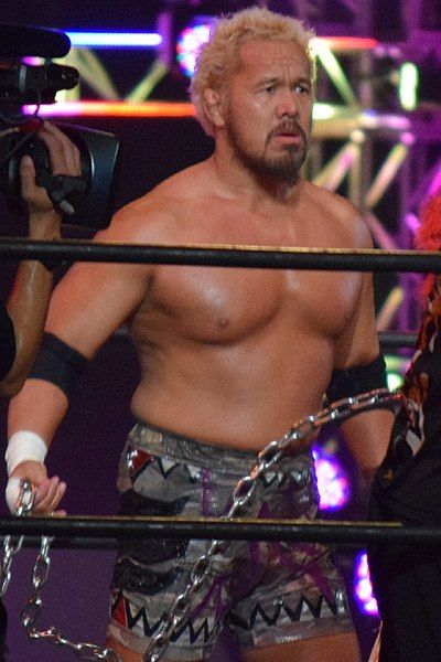 File:Togi Makabe 2017.jpg