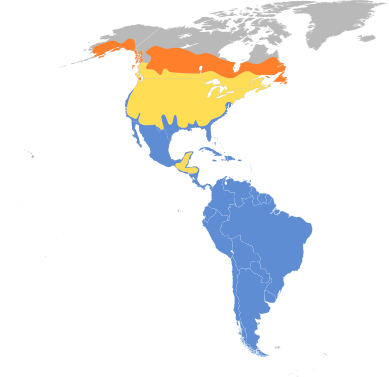 File:Tringa melanoleuca map.svg