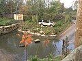 Flamingo enclosure landscaping