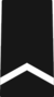 Army JROTC private rank insignia