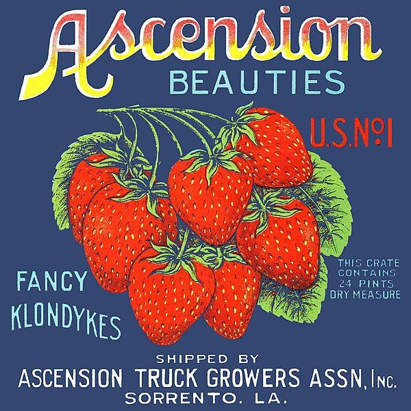 File:Ascension-beauties-fabled-labels-archive.jpg