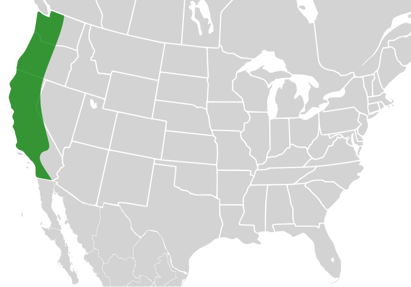 File:Bombus vosnesenskii distribution.svg