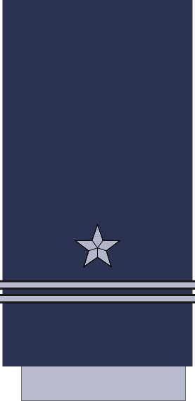 File:Chile-AirForce-OF-1c.svg