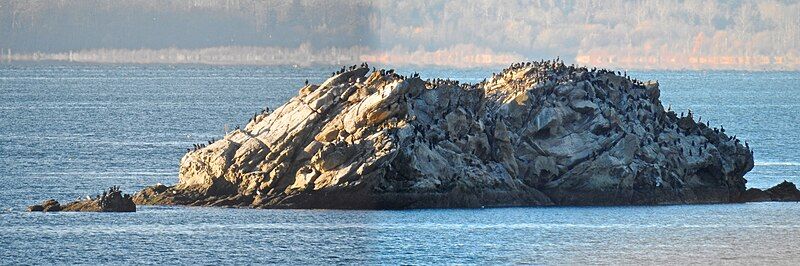 File:Chuckanut Rock.jpg