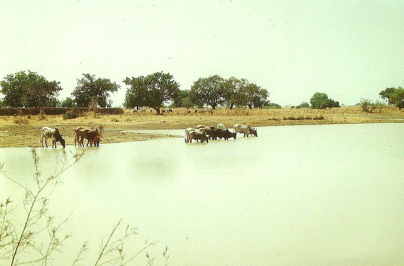 File:Lake dourtenga.jpg