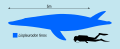 Liopleurodon