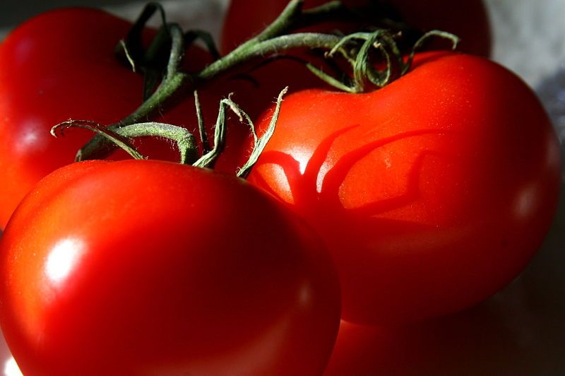 File:Local tomatoes.jpg