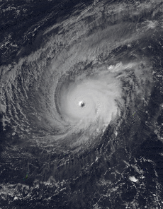 Satellite Image of Typhoon Paka