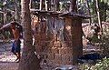 Pig toilet in Goa, India (1999)