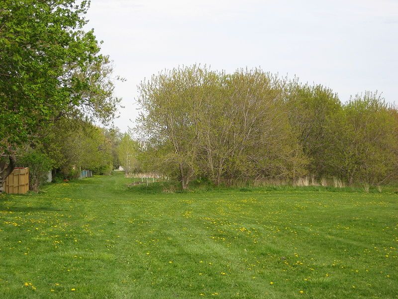 File:Pine Point Park.JPG