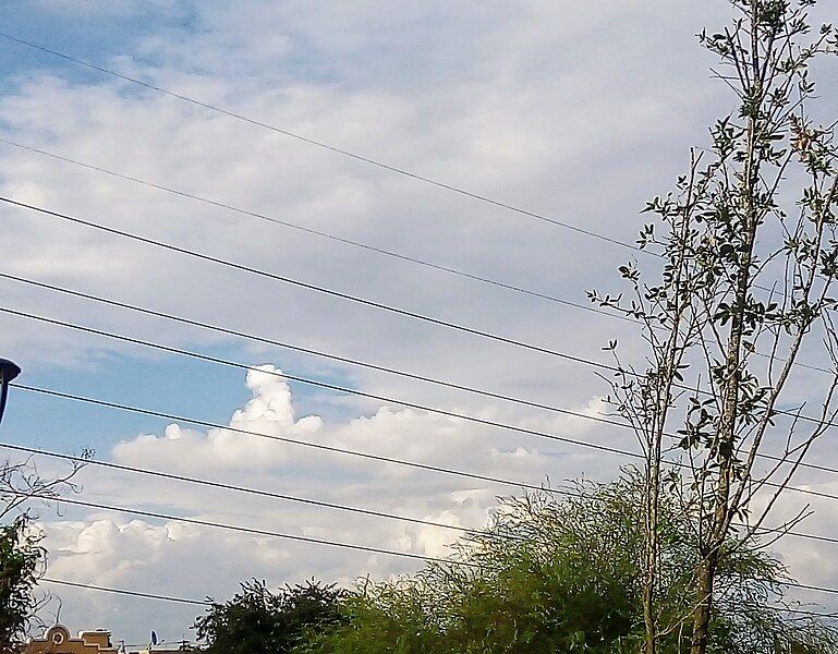 File:Stratocumulus castellanus 3oct.jpg