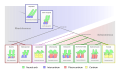 Diagram of different tetrapod vertebrae