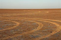 Vehicle tracks on Verneukpan.