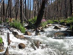 Warm Springs Creek, Idaho