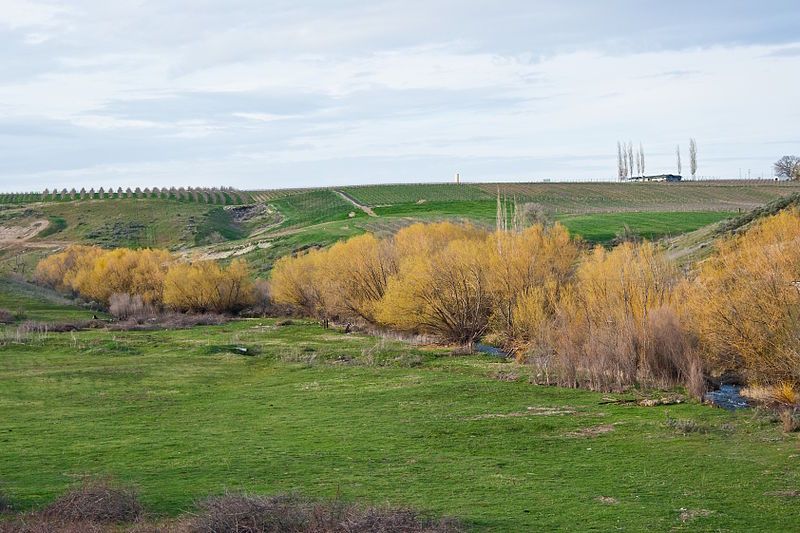 File:Whitstran-Snipes Creek Canyon.jpg