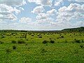 Landscape around Hoogersmilde