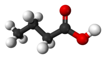 Space filling model of butyric acid