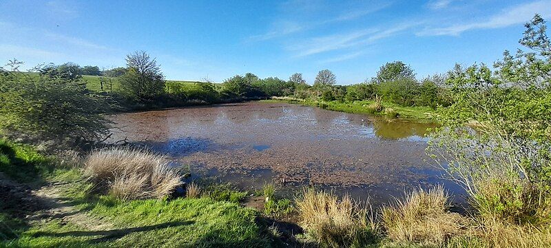 File:Carrmyers Pond.jpg