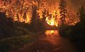 Image 18Elk Bath, an award-winning photograph of elk avoiding a wildfire in Montana (from Wildfire)