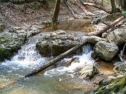 The Gaja river near Bakonynána