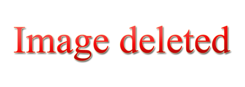 File:Image deleted logo.png