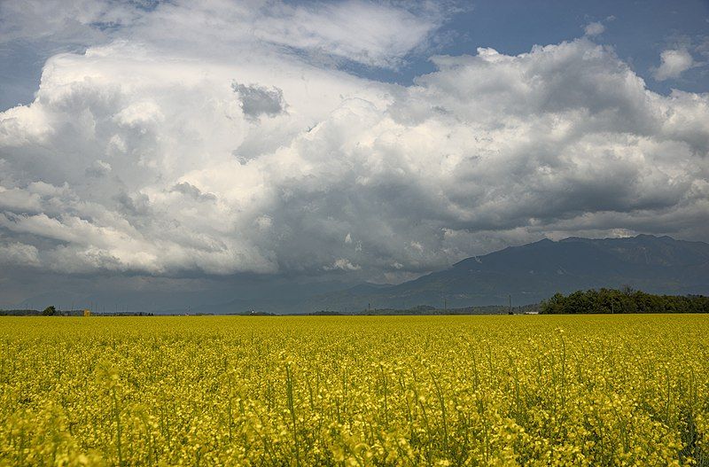 File:Kamniško-Bistriško polje II.jpg